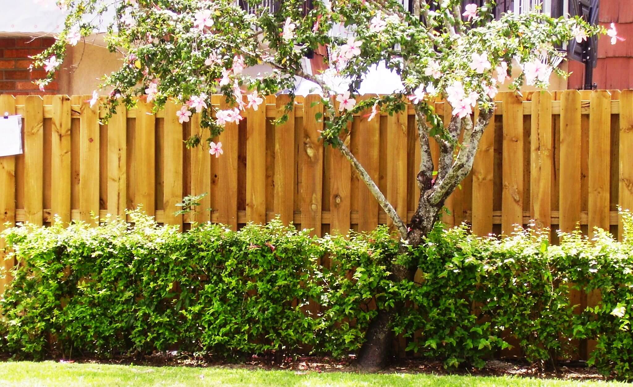 A wooden fence installed in a single family home in Fort Lauderdale, FL by Andes Fence.